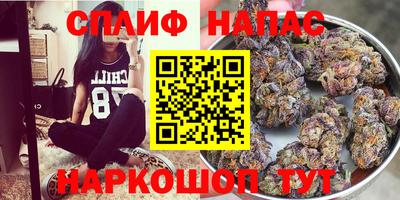 спиды Будённовск