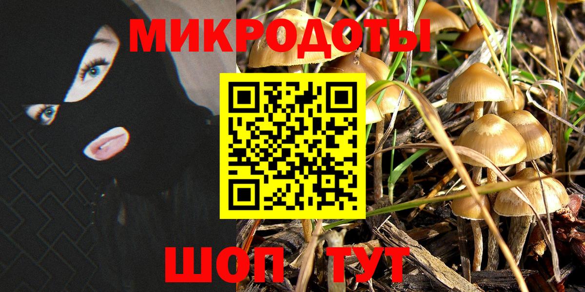 Галлюциногенные грибы ЛСД  Вход с VPN  Отрадный 